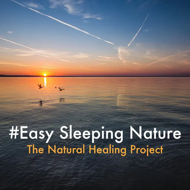 #Easy Sleeping Nature