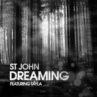 Dreaming (feat. Tayla) by St John