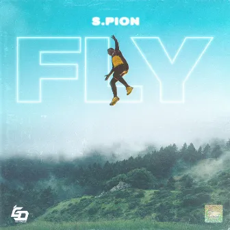 Fly by S-Pion