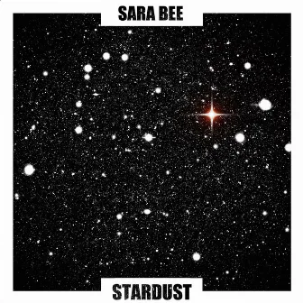 Stardust by Sara Bee