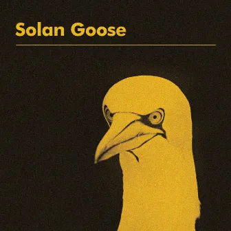 Solan Goose by Erland Cooper