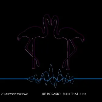 Funk That Junk by Luis Rosario