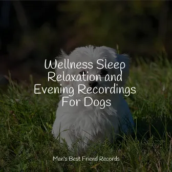 Wellness Sleep Relaxation and Evening Recordings For Dogs by 