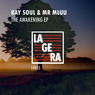 The Awakening by Mr Mluu