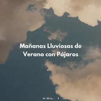 Mañanas Lluviosas De Verano Con Pájaros Vol. 1 by Pájaros del oeste