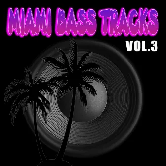 Miami Bass Tracks Vol.3 by Miami Bass Tracks