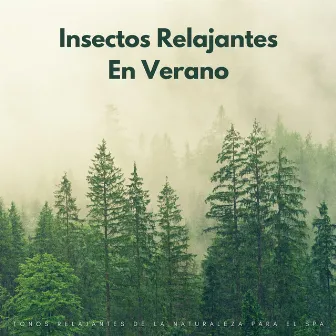 Insectos Relajantes En Verano: Tonos Relajantes De La Naturaleza Para El Spa by Baño Spa Zona de Música Relajante