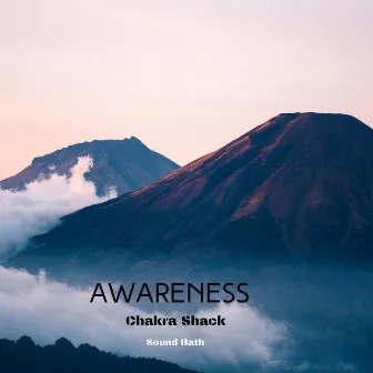 Awareness by Chakra Shack