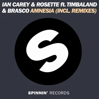 Amnesia (feat. Timbaland & Brasco) by Ian Carey