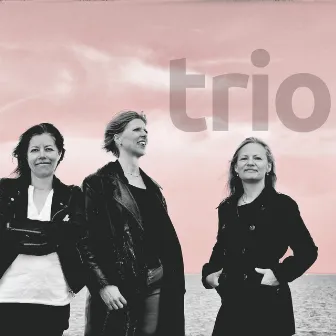 Trio by Sophisticated Ladies