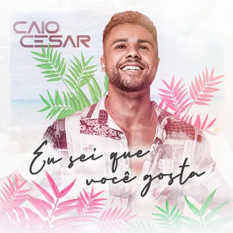 Eu Sei Que Você Gosta (Ao Vivo) by Caio Cesar