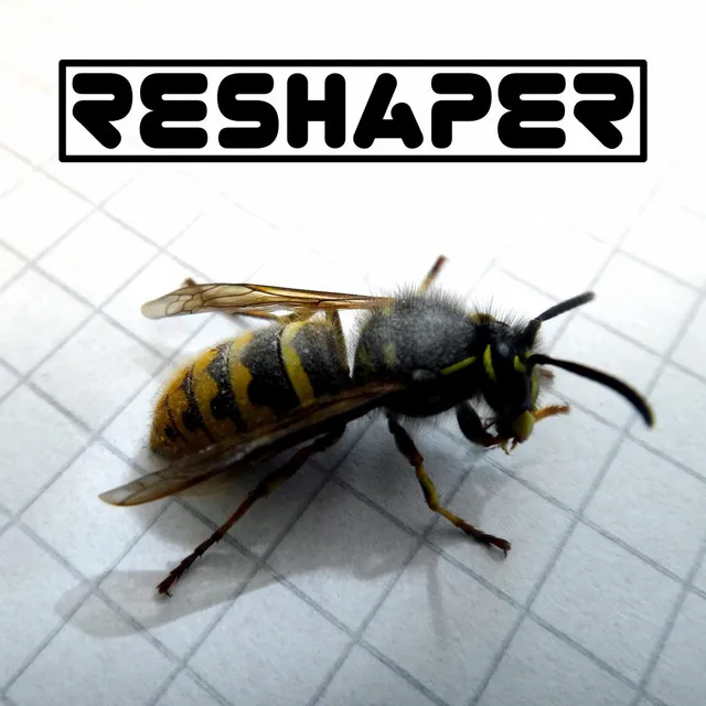 Reshaper