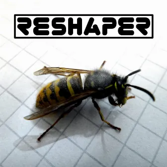 Reshaper by Caesar