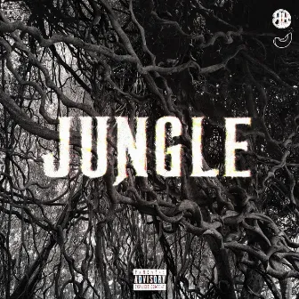 JUNGLE by BATO