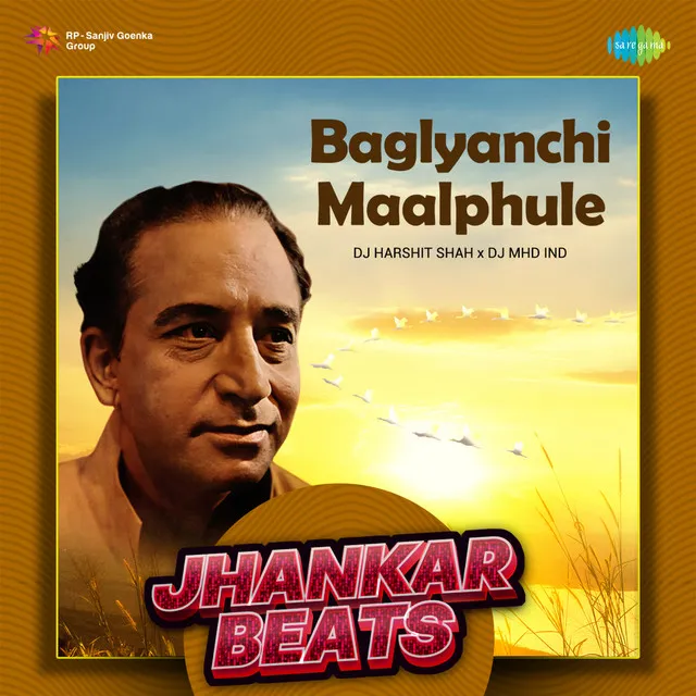 Baglyanchi Maalphule (Jhankar Beats) - Single