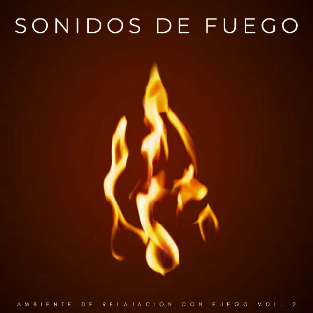 Sonido Relajante Del Fuego