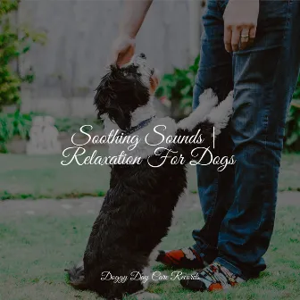 Soothing Sounds | Relaxation For Dogs by Relaxmydog