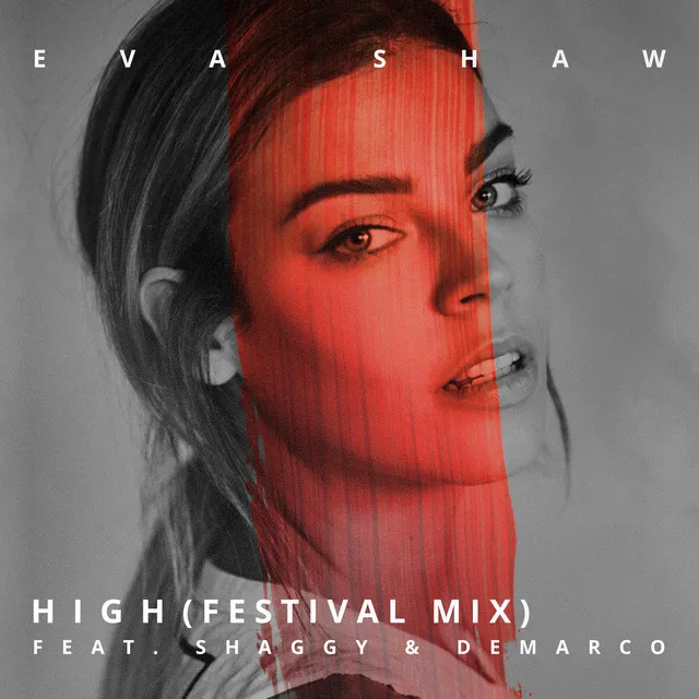 High (feat. Shaggy & Demarco) - Festival Mix