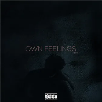 Own Feelings by Nez.