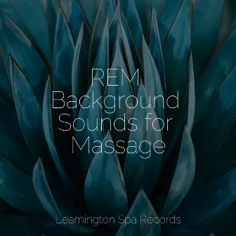 REM Background Sounds for Massage by Unknown Artist