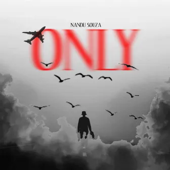 Only by Nandu Souza