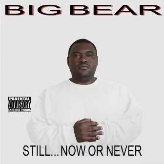 Still...Now or Never by Big Bear