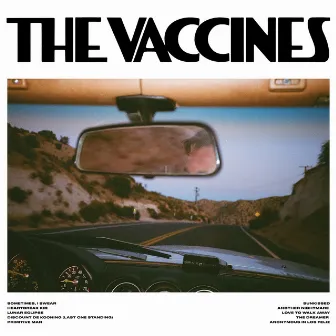 Pick-Up Full Of Pink Carnations by The Vaccines