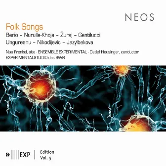 Folk Songs by Ensemble Experimental