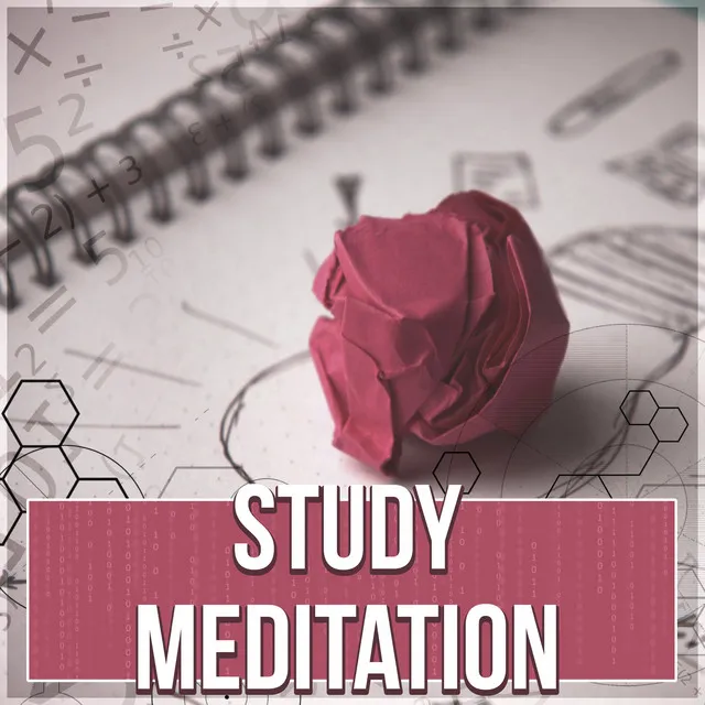 Study Meditation – Instrumental Learning Music Collection for Concentration & Relaxation, Calm Music for Studying