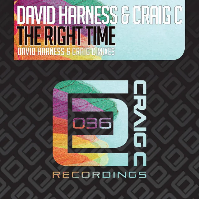 The Right Time - David Harness & Craig C Remix