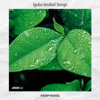 Igubu lesabalí bongo by Krap Noise