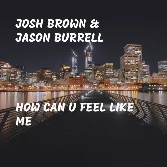 How Can U Feel Like Me by Josh Brown