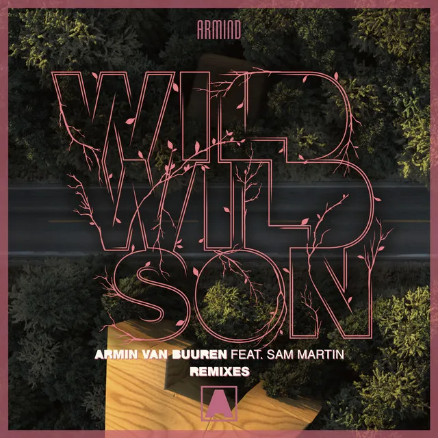 Wild Wild Son - Richard Durand Remix