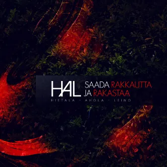 Saada rakkautta ja rakastaa by Aki Hietala