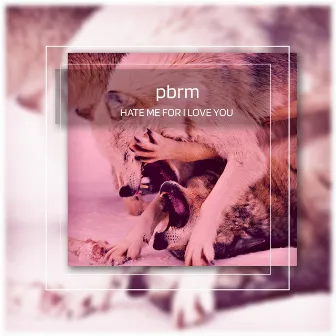 Hate Me for I Love You by PBRM