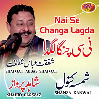 Nai Se Changa Lagda, Vol. 20 by Shahid Parwaz