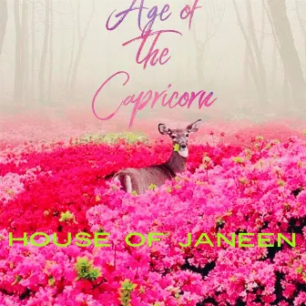 House Of Janeen by Age Of The Capricorn