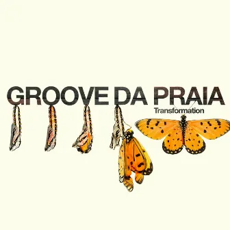 Transformations by Groove Da Praia