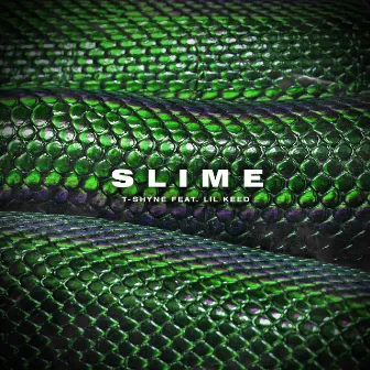 Slime by T-Shyne