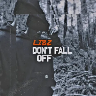 Don't Fall Off by Libz