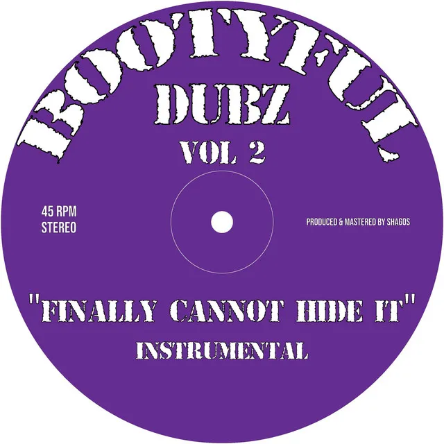 Finally Cannot Hide It - Instrumental UKG Remix