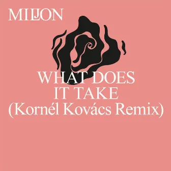 What Does It Take (Kornél Kovács Remix) by Miljon