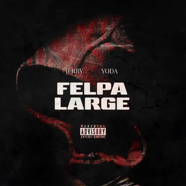 Felpa large