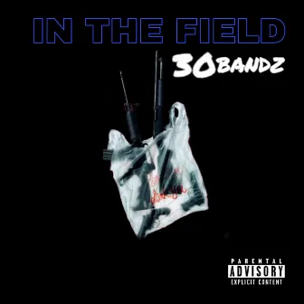 In the Field by 30 Bands