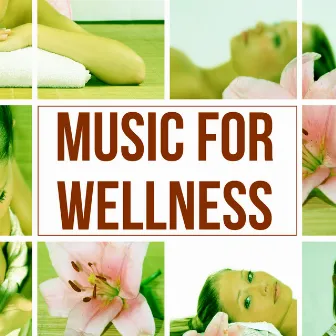 Music for Wellness - Nature Sounds for Stress Relief, Healing Through Sound and Touch, New Age Music by Serenity Spa Music Zone