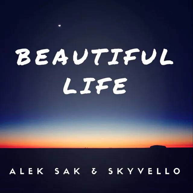 Beautiful Life