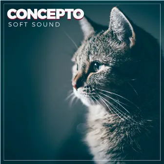 Soft Sound by Concepto