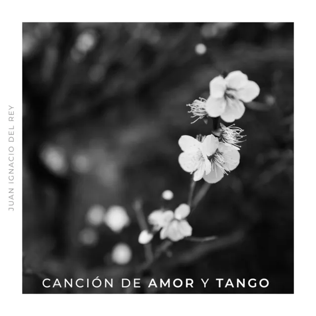 Canción de Amor y Tango