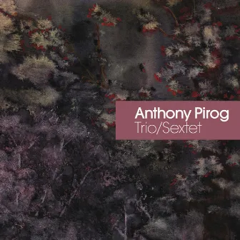 Trio/Sextet by Anthony Pirog