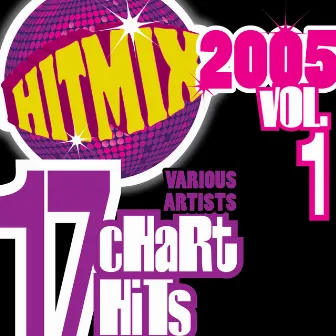 Hit Mix 2005 Vol.1 - 17 Chart Hits by Brooklyn Babes